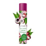 xiro-sabouan-sparkling-lychee-breeze-drosia-freskada-choris-lousimo-200ml-urban