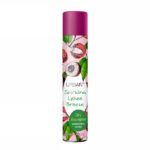 xiro-sabouan-sparkling-lychee-breeze-drosia-freskada-choris-lousimo-200ml-urban